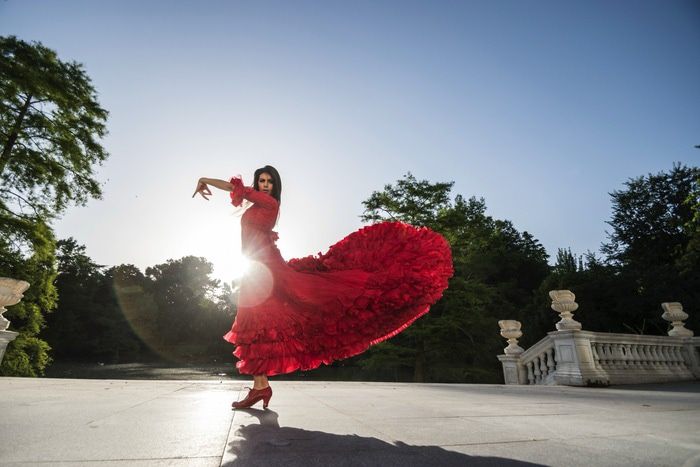 Flamenco Show